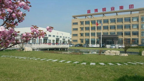 青島宜博銅業(yè)集團